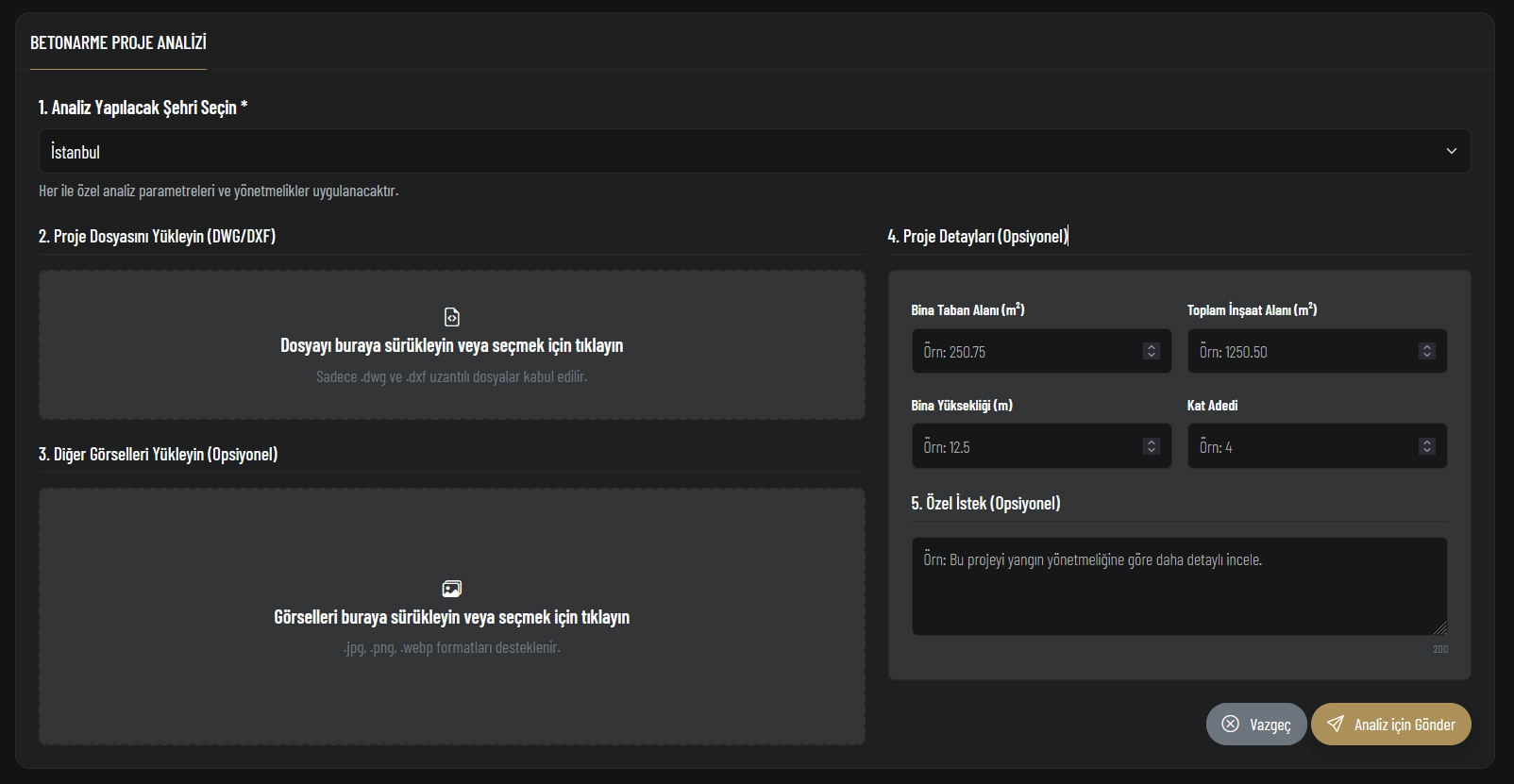 Yönetmelik Kontrolü Arayüzü